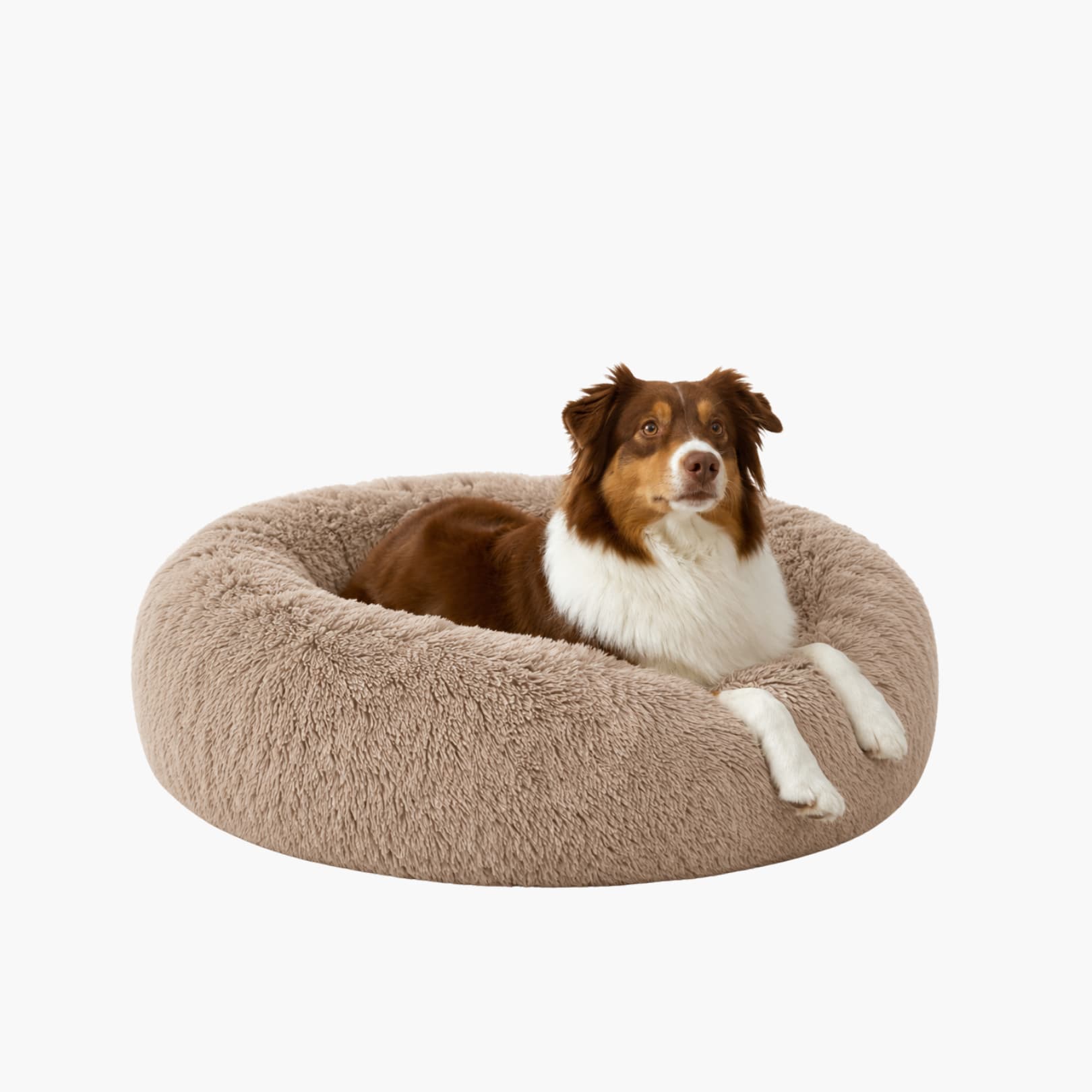 Beroligende seng – mindre stress og uro 🐾 (Mørkegrå)