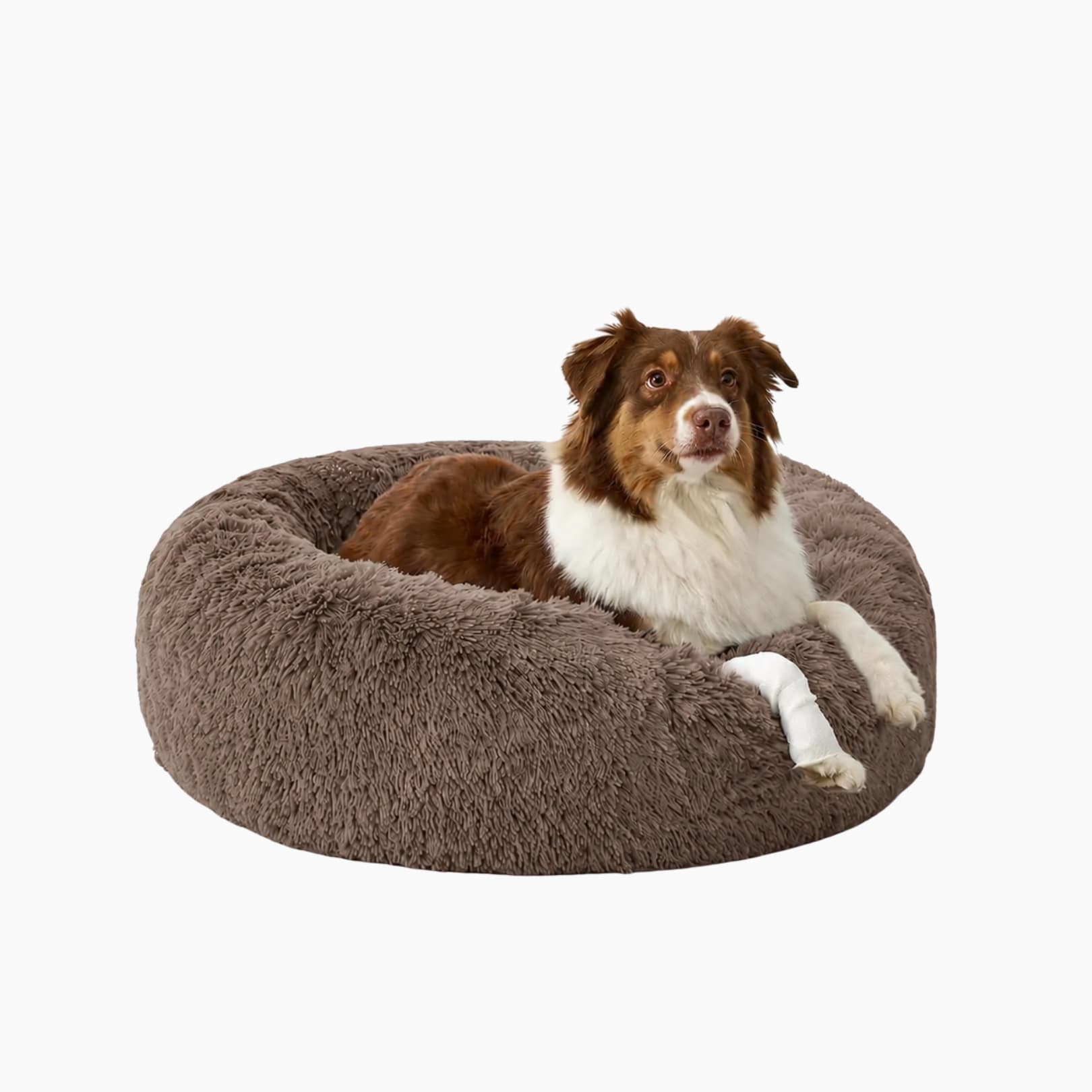 Beroligende seng – mindre stress og uro 🐾
