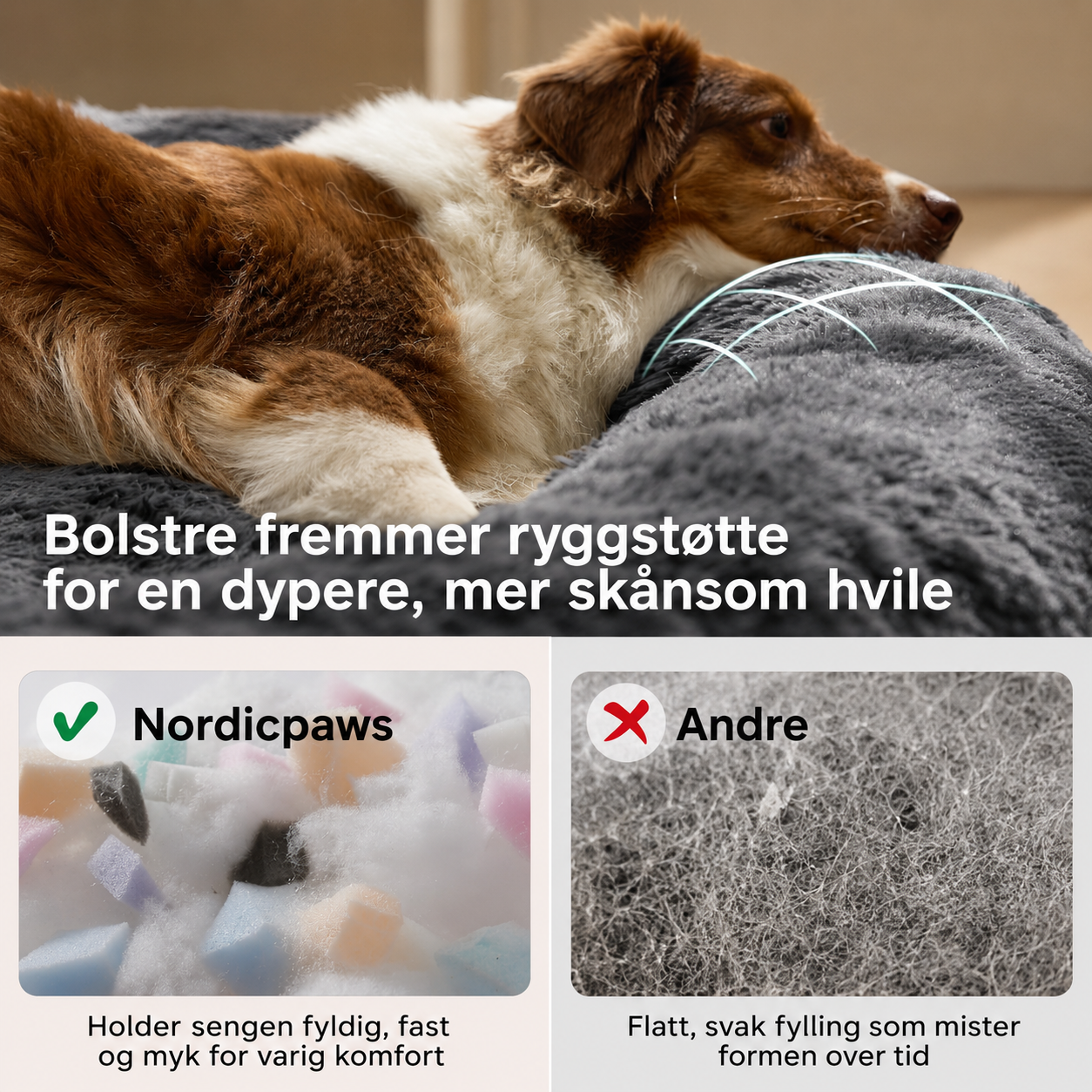 Beroligende seng – mindre stress og uro 🐾